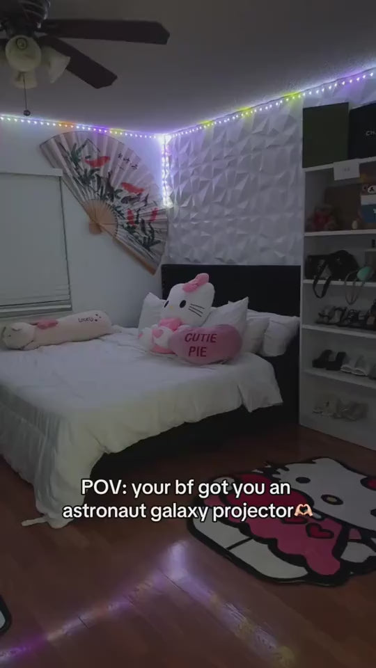 1.mp4
